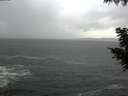 ./images/koeye/fitz-hugh/20200924/fitz-hugh20200924_190502.jpg
