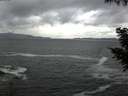 ./images/koeye/fitz-hugh/20200924/fitz-hugh20200924_192502.jpg
