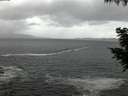 ./images/koeye/fitz-hugh/20200924/fitz-hugh20200924_194002.jpg