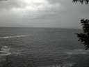./images/koeye/fitz-hugh/20200924/fitz-hugh20200924_195001.jpg