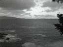 ./images/koeye/fitz-hugh/20200925/fitz-hugh20200925_064502.jpg