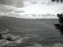 ./images/koeye/fitz-hugh/20200925/fitz-hugh20200925_065002.jpg