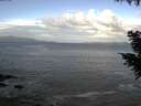 ./images/koeye/fitz-hugh/20200925/fitz-hugh20200925_090501.jpg