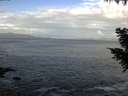 ./images/koeye/fitz-hugh/20200925/fitz-hugh20200925_092001.jpg