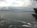 ./images/koeye/fitz-hugh/20200925/fitz-hugh20200925_094002.jpg