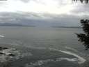 ./images/koeye/fitz-hugh/20200925/fitz-hugh20200925_094502.jpg