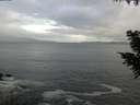 ./images/koeye/fitz-hugh/20200925/fitz-hugh20200925_102502.jpg