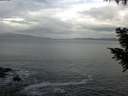 ./images/koeye/fitz-hugh/20200925/fitz-hugh20200925_103502.jpg