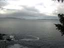 ./images/koeye/fitz-hugh/20200925/fitz-hugh20200925_104002.jpg