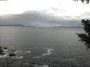 ./images/koeye/fitz-hugh/20200925/fitz-hugh20200925_104501.jpg