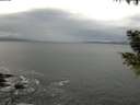 ./images/koeye/fitz-hugh/20200925/fitz-hugh20200925_105001.jpg