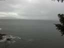 ./images/koeye/fitz-hugh/20200925/fitz-hugh20200925_110501.jpg