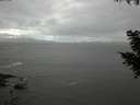 ./images/koeye/fitz-hugh/20200925/fitz-hugh20200925_111001.jpg