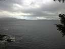 ./images/koeye/fitz-hugh/20200925/fitz-hugh20200925_111501.jpg