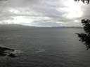 ./images/koeye/fitz-hugh/20200925/fitz-hugh20200925_112501.jpg