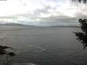 ./images/koeye/fitz-hugh/20200925/fitz-hugh20200925_113501.jpg
