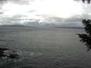 ./images/koeye/fitz-hugh/20200925/fitz-hugh20200925_115001.jpg