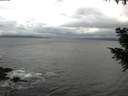 ./images/koeye/fitz-hugh/20200925/fitz-hugh20200925_115501.jpg