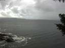 ./images/koeye/fitz-hugh/20200925/fitz-hugh20200925_123501.jpg