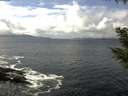 ./images/koeye/fitz-hugh/20200925/fitz-hugh20200925_132002.jpg