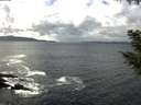 ./images/koeye/fitz-hugh/20200925/fitz-hugh20200925_134002.jpg
