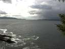 ./images/koeye/fitz-hugh/20200925/fitz-hugh20200925_140001.jpg