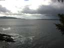 ./images/koeye/fitz-hugh/20200925/fitz-hugh20200925_140501.jpg