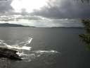 ./images/koeye/fitz-hugh/20200925/fitz-hugh20200925_141001.jpg
