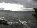 ./images/koeye/fitz-hugh/20200925/fitz-hugh20200925_142501.jpg