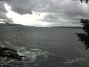 ./images/koeye/fitz-hugh/20200925/fitz-hugh20200925_143501.jpg