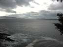 ./images/koeye/fitz-hugh/20200925/fitz-hugh20200925_144501.jpg