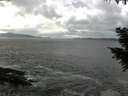 ./images/koeye/fitz-hugh/20200925/fitz-hugh20200925_145001.jpg