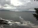 ./images/koeye/fitz-hugh/20200925/fitz-hugh20200925_150501.jpg