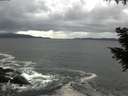./images/koeye/fitz-hugh/20200925/fitz-hugh20200925_152501.jpg