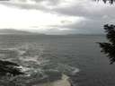 ./images/koeye/fitz-hugh/20200925/fitz-hugh20200925_154502.jpg