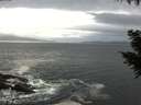 ./images/koeye/fitz-hugh/20200925/fitz-hugh20200925_155002.jpg