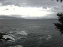 ./images/koeye/fitz-hugh/20200925/fitz-hugh20200925_155502.jpg