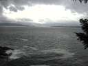 ./images/koeye/fitz-hugh/20200925/fitz-hugh20200925_160002.jpg