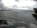 ./images/koeye/fitz-hugh/20200925/fitz-hugh20200925_160502.jpg