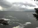 ./images/koeye/fitz-hugh/20200925/fitz-hugh20200925_161002.jpg