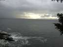 ./images/koeye/fitz-hugh/20200925/fitz-hugh20200925_162502.jpg