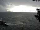 ./images/koeye/fitz-hugh/20200925/fitz-hugh20200925_163502.jpg
