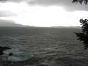 ./images/koeye/fitz-hugh/20200925/fitz-hugh20200925_164002.jpg