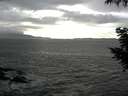 ./images/koeye/fitz-hugh/20200925/fitz-hugh20200925_164502.jpg