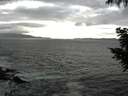 ./images/koeye/fitz-hugh/20200925/fitz-hugh20200925_165001.jpg