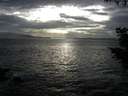 ./images/koeye/fitz-hugh/20200925/fitz-hugh20200925_174501.jpg