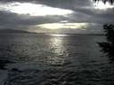 ./images/koeye/fitz-hugh/20200925/fitz-hugh20200925_175001.jpg