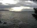./images/koeye/fitz-hugh/20200925/fitz-hugh20200925_175501.jpg