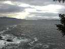 ./images/koeye/fitz-hugh/20200925/fitz-hugh20200925_180501.jpg