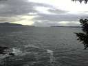 ./images/koeye/fitz-hugh/20200925/fitz-hugh20200925_181001.jpg